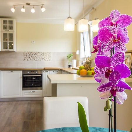 Apartman Maxim Διαμέρισμα Πούλα Εξωτερικό φωτογραφία