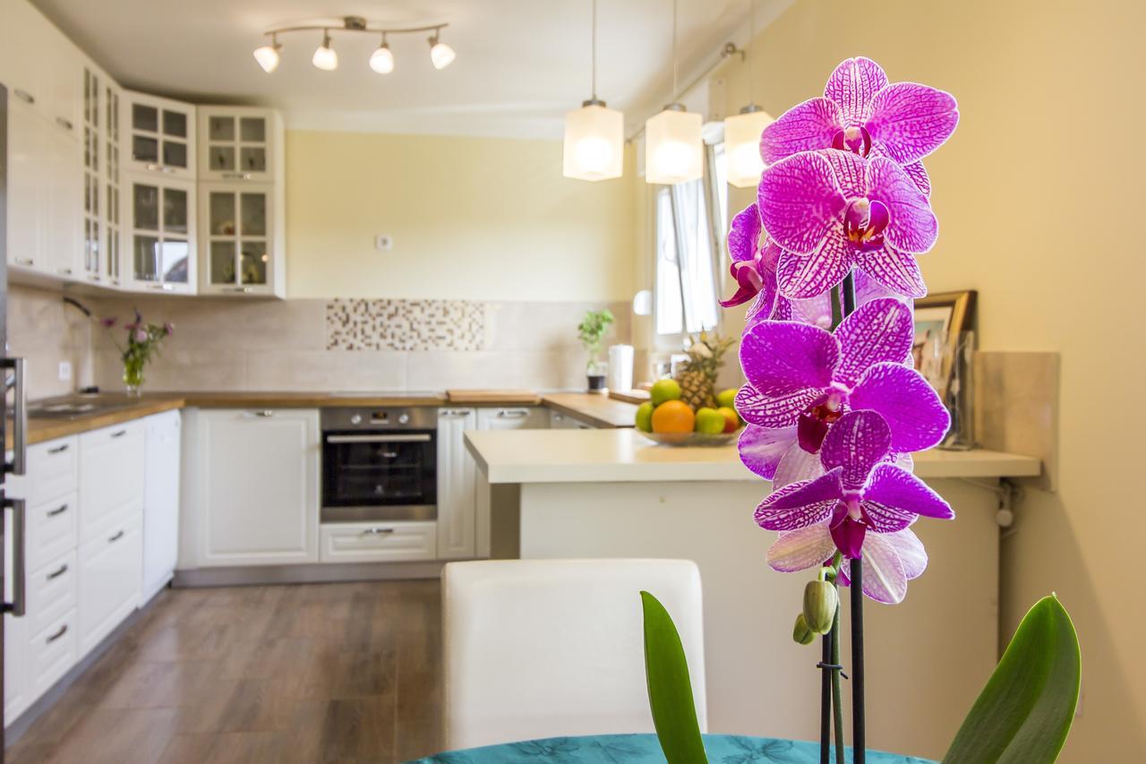 Apartman Maxim Διαμέρισμα Πούλα Εξωτερικό φωτογραφία